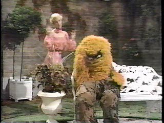 The Muppet Show,  The Electric Company ,  The Brady Bunch