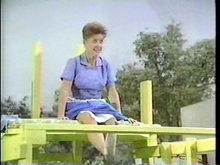 The Muppet Show,  The Electric Company ,  The Brady Bunch