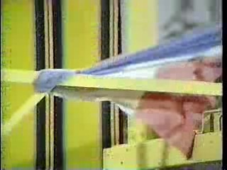 The Muppet Show,  The Electric Company ,  The Brady Bunch