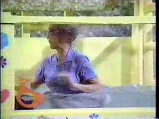 The Muppet Show,  The Electric Company ,  The Brady Bunch