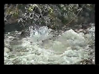 Mission Impossible,  Jivaro