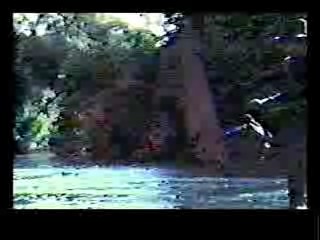 The Southern Star,  Tarzan Escapes