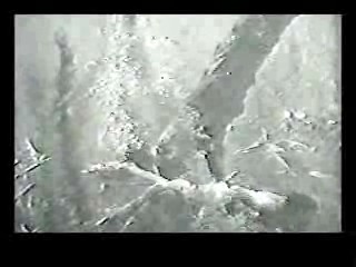 The Southern Star,  Tarzan Escapes