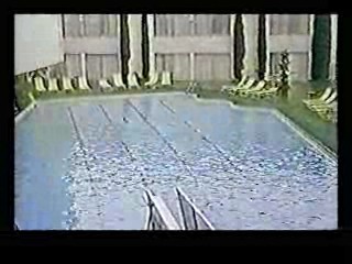 Honky Tonk Freeway,  The Sure Thing,  Poltergiest III,  Tarzan's Greatest Adventure