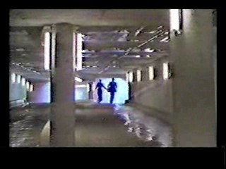 Honky Tonk Freeway,  The Sure Thing,  Poltergiest III,  Tarzan's Greatest Adventure