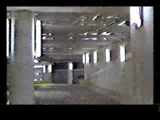 Honky Tonk Freeway,  The Sure Thing,  Poltergiest III,  Tarzan's Greatest Adventure