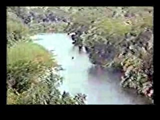 Honky Tonk Freeway,  The Sure Thing,  Poltergiest III,  Tarzan's Greatest Adventure