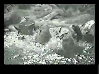 Genevieve,  Back From Eternity,  Masquerade