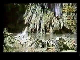 Paradise,  Johnny Guitar