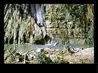 Paradise,  Johnny Guitar