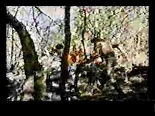 Paradise,  Johnny Guitar