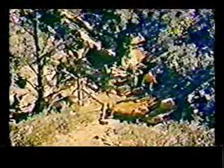 Paradise,  Johnny Guitar