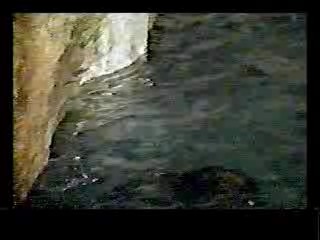 Tarzan and the Jungle Boy,  Cave In,