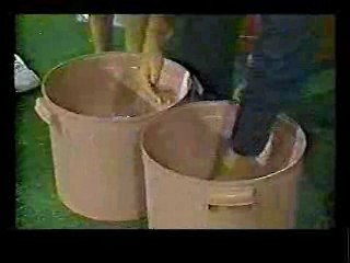 College Madhouse,  The Egg and I,  The Incredible Shriking Woman