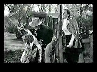 College Madhouse,  The Egg and I,  The Incredible Shriking Woman