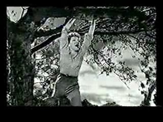 College Madhouse,  The Egg and I,  The Incredible Shriking Woman