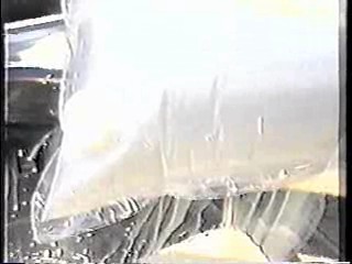 Who Dares Wins, The Water Rats