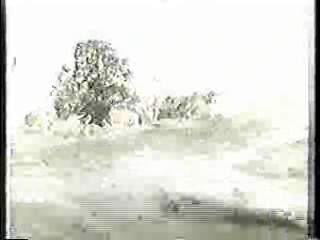 Who Dares Wins, The Water Rats