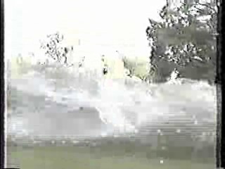 Who Dares Wins, The Water Rats