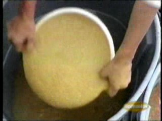 Wild and Crazy Kids - My Brother and Me