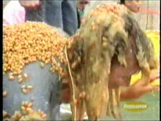 Wild and Crazy Kids - My Brother and Me