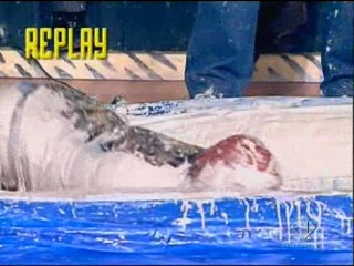 Distraction (Italian Version)