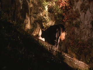 TenkÃ´sei: Sayonara anata