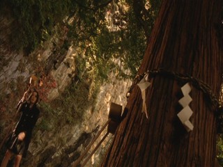 TenkÃ´sei: Sayonara anata