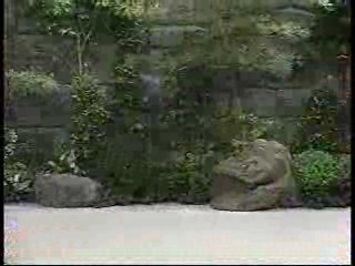 Japanese TV shows  (3)