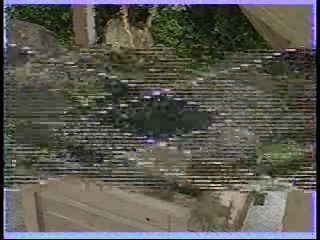 Japanese TV shows  (3)