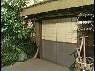 Japanese comedy shows (3)