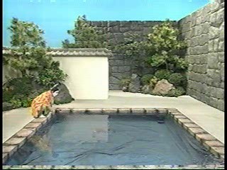 Japanese comedy shows (2)