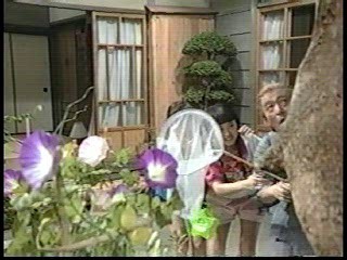 Japanese comedy show, Japanese gameshows (2)