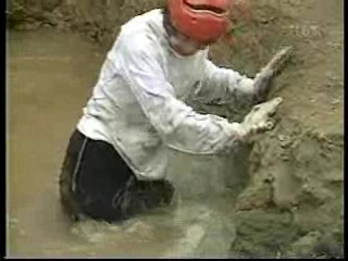 Japanese comedy shows (4)