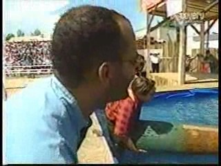 Japanese TV, Log Rolling