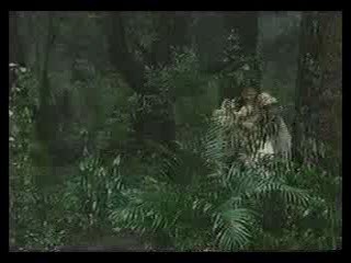 girl in wedding dress in bog