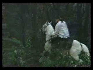 girl in wedding dress in bog