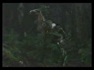 girl in wedding dress in bog