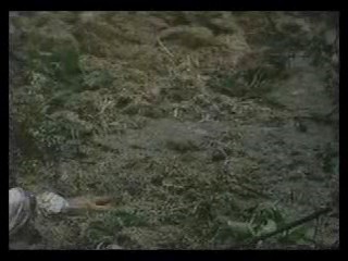 girl in wedding dress in bog