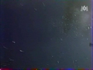 Alamo Bay, natte strakke spijkerbroeken