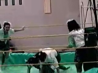 Slime Wrestling
