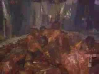 Wild on E! - chocolate pudding wrestling