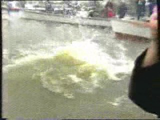 Cox thrown in the river