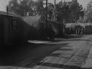 Four Jills in a Jeep