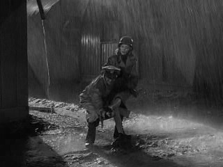 Four Jills in a Jeep