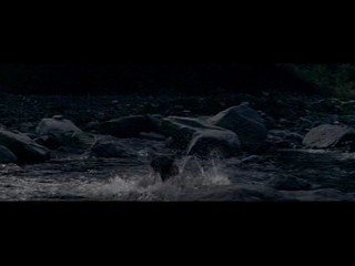 KingKong vs. Godzilla