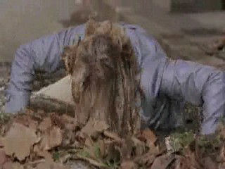 Bailey'sBath, Pepper Dennis Puddle, D.Housewives Hose