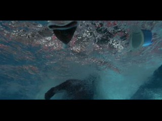 Down and Out Beverly Hills