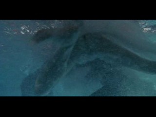 Down and Out Beverly Hills