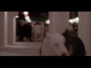 Down and Out Beverly Hills